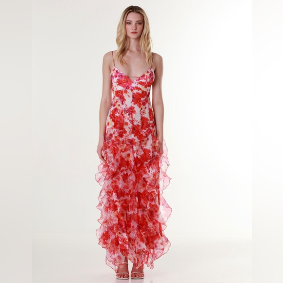 Menti Designer Maxi dress - Picture 4 of 5